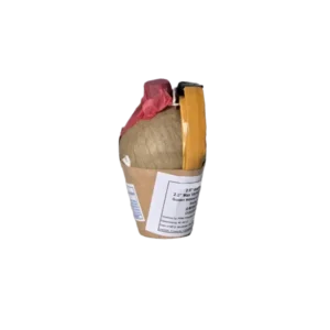 2.5 shells