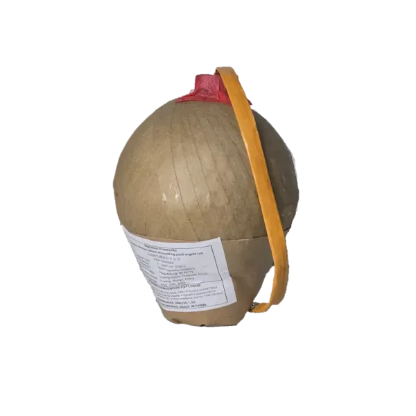 6" shells